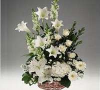 Envio y venta de flores ,rosas, plantas,arreglos florales ,regalos y desayunos a domicilio con delivery gratis en la Ciudad Autonoma de Buenos Aires y con costo de env�o en localidades del Gran Buenos Aires asi como delivery de flores y plantas a trav�s de florerias asociadas en todas las provincias de la Argentina, Buenos Aires, la Pampa, Tucuman, La Rioja, R�o Negro, Entre Rios, Corrientes, Misiones, Neuquen, Chubut, Tierra del Fuego, Santa Cruz, San Luis, Mendoza, Cordoba, Jujuy, Formosa, Santiago del Estero, Salta, Chaco, Catamarca ,San Juan, y ademas realizamos el delivery de flores ,coronas,palmas , plantas y regalos a todas las ciudades de Argentina, Mar del Plata, C�rdoba, Buenos Aires, con cargo en Santa Rosa, La Plata, Bella Vista, Neuquen, Pilar, Paran�, Posadas, Resistencia, Cipolleti y mas de 300 ciudades y localidades en todo el territorio de nuestro pa�s, asi como tambien tenemos la posibilidad de enviar flores a casi todo el mundo en cuestion de horas