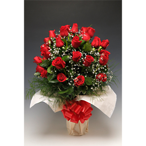 Envio y venta de flores ,rosas, plantas,arreglos florales ,regalos y desayunos a domicilio con delivery gratis en la Ciudad Autonoma de Buenos Aires y con costo de env�o en localidades del Gran Buenos Aires asi como delivery de flores y plantas a trav�s de florerias asociadas en todas las provincias de la Argentina, Buenos Aires, la Pampa, Tucuman, La Rioja, R�o Negro, Entre Rios, Corrientes, Misiones, Neuquen, Chubut, Tierra del Fuego, Santa Cruz, San Luis, Mendoza, Cordoba, Jujuy, Formosa, Santiago del Estero, Salta, Chaco, Catamarca ,San Juan, y ademas realizamos el delivery de flores ,coronas,palmas , plantas y regalos a todas las ciudades de Argentina, Mar del Plata, C�rdoba, Buenos Aires, con cargo en Santa Rosa, La Plata, Bella Vista, Neuquen, Pilar, Paran�, Posadas, Resistencia, Cipolleti y mas de 300 ciudades y localidades en todo el territorio de nuestro pa�s, asi como tambien tenemos la posibilidad de enviar flores a casi todo el mundo en cuestion de horas