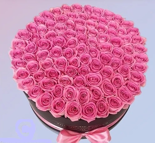 Envio y venta de flores ,rosas, plantas,arreglos florales ,regalos y desayunos a domicilio con delivery gratis en la Ciudad Autonoma de Buenos Aires y con costo de env�o en localidades del Gran Buenos Aires asi como delivery de flores y plantas a trav�s de florerias asociadas en todas las provincias de la Argentina, Buenos Aires, la Pampa, Tucuman, La Rioja, R�o Negro, Entre Rios, Corrientes, Misiones, Neuquen, Chubut, Tierra del Fuego, Santa Cruz, San Luis, Mendoza, Cordoba, Jujuy, Formosa, Santiago del Estero, Salta, Chaco, Catamarca ,San Juan, y ademas realizamos el delivery de flores ,coronas,palmas , plantas y regalos a todas las ciudades de Argentina, Mar del Plata, C�rdoba, Buenos Aires, con cargo en Santa Rosa, La Plata, Bella Vista, Neuquen, Pilar, Paran�, Posadas, Resistencia, Cipolleti y mas de 300 ciudades y localidades en todo el territorio de nuestro pa�s, asi como tambien tenemos la posibilidad de enviar flores a casi todo el mundo en cuestion de horas