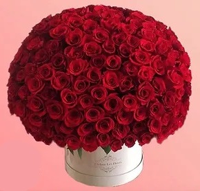 Envio y venta de flores ,rosas, plantas,arreglos florales ,regalos y desayunos a domicilio con delivery gratis en la Ciudad Autonoma de Buenos Aires y con costo de env�o en localidades del Gran Buenos Aires asi como delivery de flores y plantas a trav�s de florerias asociadas en todas las provincias de la Argentina, Buenos Aires, la Pampa, Tucuman, La Rioja, R�o Negro, Entre Rios, Corrientes, Misiones, Neuquen, Chubut, Tierra del Fuego, Santa Cruz, San Luis, Mendoza, Cordoba, Jujuy, Formosa, Santiago del Estero, Salta, Chaco, Catamarca ,San Juan, y ademas realizamos el delivery de flores ,coronas,palmas , plantas y regalos a todas las ciudades de Argentina, Mar del Plata, C�rdoba, Buenos Aires, con cargo en Santa Rosa, La Plata, Bella Vista, Neuquen, Pilar, Paran�, Posadas, Resistencia, Cipolleti y mas de 300 ciudades y localidades en todo el territorio de nuestro pa�s, asi como tambien tenemos la posibilidad de enviar flores a casi todo el mundo en cuestion de horas