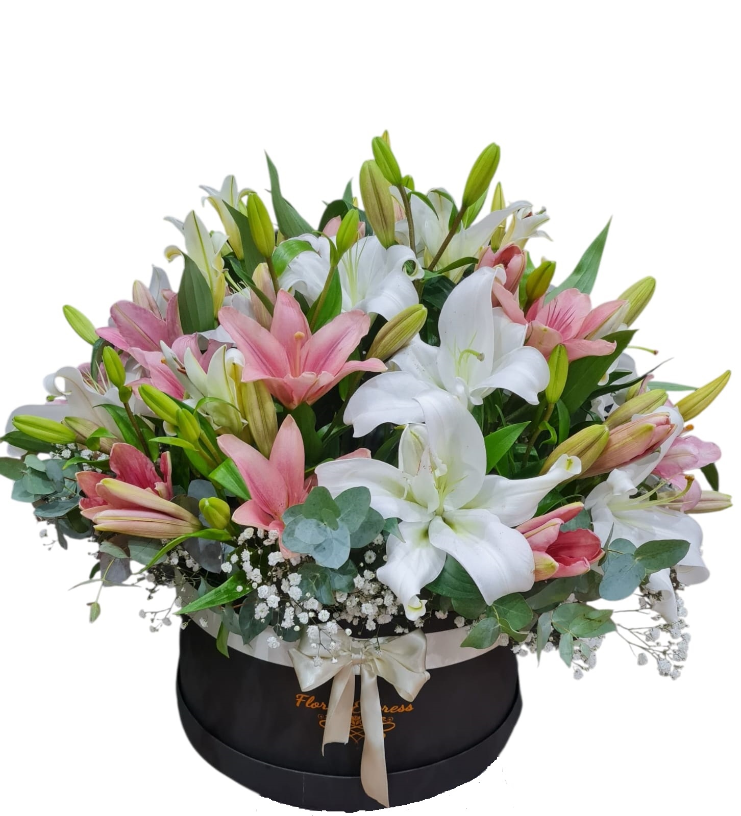 Envio y venta de flores ,rosas, plantas,arreglos florales ,regalos y desayunos a domicilio con delivery gratis en la Ciudad Autonoma de Buenos Aires y con costo de env�o en localidades del Gran Buenos Aires asi como delivery de flores y plantas a trav�s de florerias asociadas en todas las provincias de la Argentina, Buenos Aires, la Pampa, Tucuman, La Rioja, R�o Negro, Entre Rios, Corrientes, Misiones, Neuquen, Chubut, Tierra del Fuego, Santa Cruz, San Luis, Mendoza, Cordoba, Jujuy, Formosa, Santiago del Estero, Salta, Chaco, Catamarca ,San Juan, y ademas realizamos el delivery de flores ,coronas,palmas , plantas y regalos a todas las ciudades de Argentina, Mar del Plata, C�rdoba, Buenos Aires, con cargo en Santa Rosa, La Plata, Bella Vista, Neuquen, Pilar, Paran�, Posadas, Resistencia, Cipolleti y mas de 300 ciudades y localidades en todo el territorio de nuestro pa�s, asi como tambien tenemos la posibilidad de enviar flores a casi todo el mundo en cuestion de horas