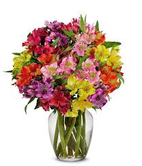 Envio y venta de flores ,rosas, plantas,arreglos florales ,regalos y desayunos a domicilio con delivery gratis en la Ciudad Autonoma de Buenos Aires y con costo de env�o en localidades del Gran Buenos Aires asi como delivery de flores y plantas a trav�s de florerias asociadas en todas las provincias de la Argentina, Buenos Aires, la Pampa, Tucuman, La Rioja, R�o Negro, Entre Rios, Corrientes, Misiones, Neuquen, Chubut, Tierra del Fuego, Santa Cruz, San Luis, Mendoza, Cordoba, Jujuy, Formosa, Santiago del Estero, Salta, Chaco, Catamarca ,San Juan, y ademas realizamos el delivery de flores ,coronas,palmas , plantas y regalos a todas las ciudades de Argentina, Mar del Plata, C�rdoba, Buenos Aires, con cargo en Santa Rosa, La Plata, Bella Vista, Neuquen, Pilar, Paran�, Posadas, Resistencia, Cipolleti y mas de 300 ciudades y localidades en todo el territorio de nuestro pa�s, asi como tambien tenemos la posibilidad de enviar flores a casi todo el mundo en cuestion de horas