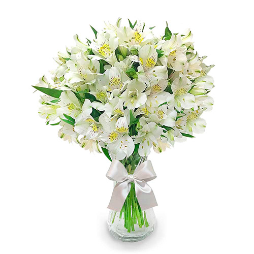 Envio y venta de flores ,rosas, plantas,arreglos florales ,regalos y desayunos a domicilio con delivery gratis en la Ciudad Autonoma de Buenos Aires y con costo de env�o en localidades del Gran Buenos Aires asi como delivery de flores y plantas a trav�s de florerias asociadas en todas las provincias de la Argentina, Buenos Aires, la Pampa, Tucuman, La Rioja, R�o Negro, Entre Rios, Corrientes, Misiones, Neuquen, Chubut, Tierra del Fuego, Santa Cruz, San Luis, Mendoza, Cordoba, Jujuy, Formosa, Santiago del Estero, Salta, Chaco, Catamarca ,San Juan, y ademas realizamos el delivery de flores ,coronas,palmas , plantas y regalos a todas las ciudades de Argentina, Mar del Plata, C�rdoba, Buenos Aires, con cargo en Santa Rosa, La Plata, Bella Vista, Neuquen, Pilar, Paran�, Posadas, Resistencia, Cipolleti y mas de 300 ciudades y localidades en todo el territorio de nuestro pa�s, asi como tambien tenemos la posibilidad de enviar flores a casi todo el mundo en cuestion de horas