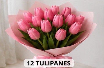 Envio y venta de flores ,rosas, plantas,arreglos florales ,regalos y desayunos a domicilio con delivery gratis en la Ciudad Autonoma de Buenos Aires y con costo de env�o en localidades del Gran Buenos Aires asi como delivery de flores y plantas a trav�s de florerias asociadas en todas las provincias de la Argentina, Buenos Aires, la Pampa, Tucuman, La Rioja, R�o Negro, Entre Rios, Corrientes, Misiones, Neuquen, Chubut, Tierra del Fuego, Santa Cruz, San Luis, Mendoza, Cordoba, Jujuy, Formosa, Santiago del Estero, Salta, Chaco, Catamarca ,San Juan, y ademas realizamos el delivery de flores ,coronas,palmas , plantas y regalos a todas las ciudades de Argentina, Mar del Plata, C�rdoba, Buenos Aires, con cargo en Santa Rosa, La Plata, Bella Vista, Neuquen, Pilar, Paran�, Posadas, Resistencia, Cipolleti y mas de 300 ciudades y localidades en todo el territorio de nuestro pa�s, asi como tambien tenemos la posibilidad de enviar flores a casi todo el mundo en cuestion de horas