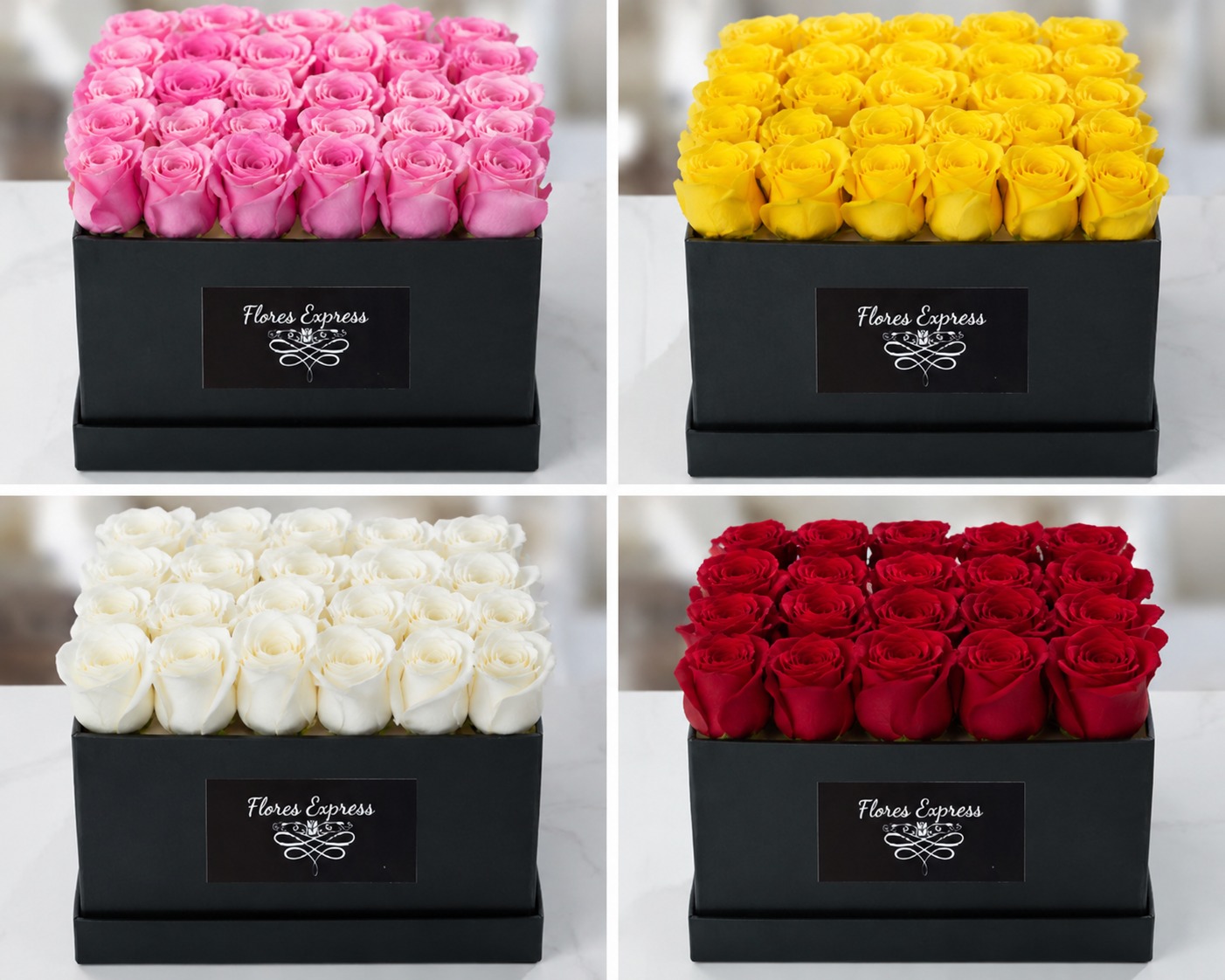 Envio y venta de flores ,rosas, plantas,arreglos florales ,regalos y desayunos a domicilio con delivery gratis en la Ciudad Autonoma de Buenos Aires y con costo de env�o en localidades del Gran Buenos Aires asi como delivery de flores y plantas a trav�s de florerias asociadas en todas las provincias de la Argentina, Buenos Aires, la Pampa, Tucuman, La Rioja, R�o Negro, Entre Rios, Corrientes, Misiones, Neuquen, Chubut, Tierra del Fuego, Santa Cruz, San Luis, Mendoza, Cordoba, Jujuy, Formosa, Santiago del Estero, Salta, Chaco, Catamarca ,San Juan, y ademas realizamos el delivery de flores ,coronas,palmas , plantas y regalos a todas las ciudades de Argentina, Mar del Plata, C�rdoba, Buenos Aires, con cargo en Santa Rosa, La Plata, Bella Vista, Neuquen, Pilar, Paran�, Posadas, Resistencia, Cipolleti y mas de 300 ciudades y localidades en todo el territorio de nuestro pa�s, asi como tambien tenemos la posibilidad de enviar flores a casi todo el mundo en cuestion de horas